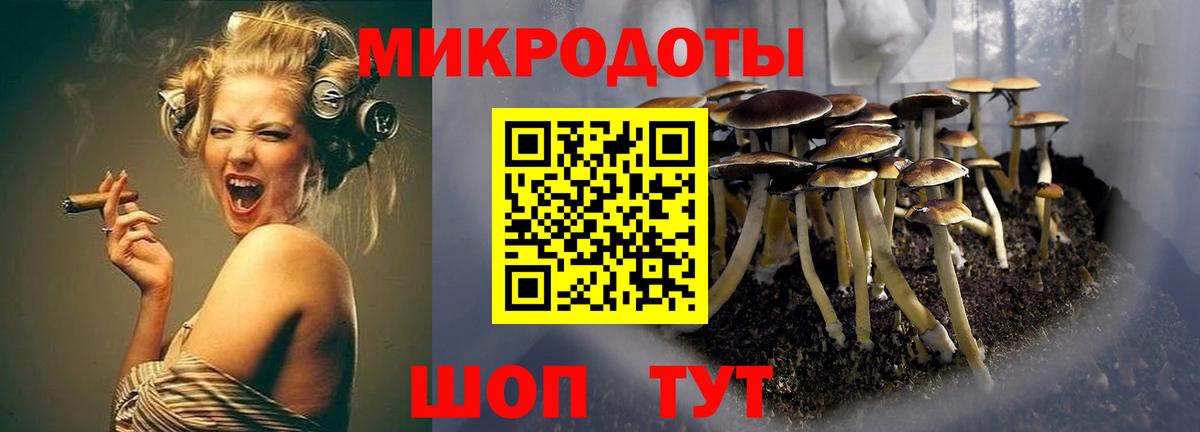 Можайск  Галлюциногенные грибы мухоморы  даркнет сайт  Галлюциногенные грибы мухоморы  Вход с VPN 